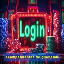 acompanhantes de guanambi